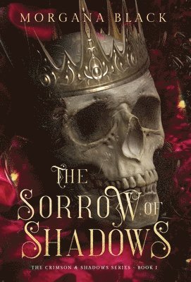 bokomslag Sorrow of Shadows