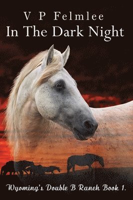 In The Dark Night 1