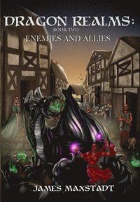 bokomslag Dragon Realms: Enemies and Allies