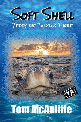 Soft Shell - Teddy the Talking Turtle 1