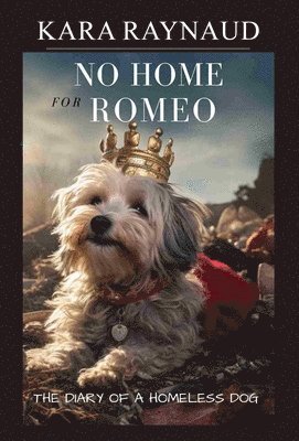 No Home For Romeo... The Diary of a Homeless Dog 1