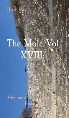 bokomslag The Mole Vol XVIII