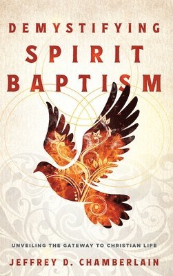 bokomslag Demystifying Spirit Baptism