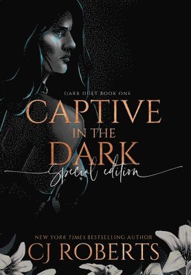 bokomslag Captive in the Dark
