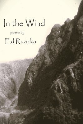 bokomslag In the Wind