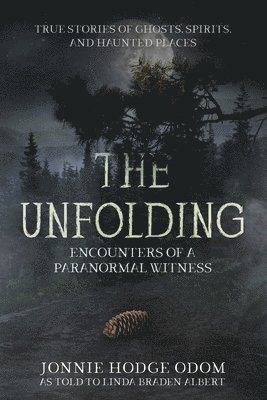 bokomslag The Unfolding