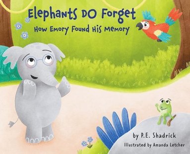 bokomslag Elephants DO Forget