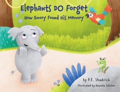 bokomslag Elephants DO Forget