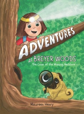 bokomslag Adventures at Breyer Woods