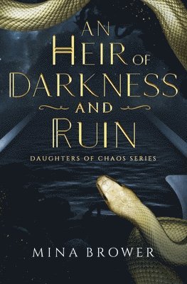 bokomslag Heir of Darkness and Ruin