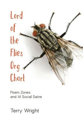 bokomslag Lord of the Flies Org Chart