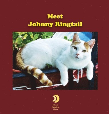 bokomslag Meet Johnny Ringtail