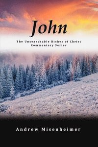 bokomslag John: The Unsearchable Riches of Christ Commentary Series