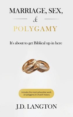 bokomslag Marriage, Sex, & Polygamy