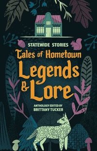 bokomslag Statewide Stories