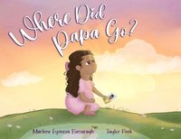 bokomslag Where Did Papa Go?: Walking With Your Child Through Grief And All The Questions That Come With It