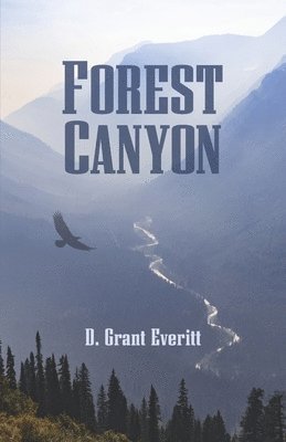 bokomslag Forest Canyon