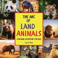 bokomslag The ABC Of Land Animals