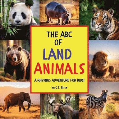 bokomslag ABC Of Land Animals