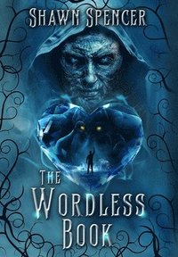 bokomslag Wordless Book