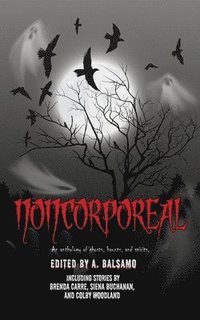 bokomslag Noncorporeal