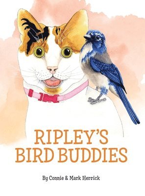 bokomslag Ripley's Bird Buddies