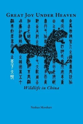 Nathan Morehart - Great Joy Under Heaven, Häftad