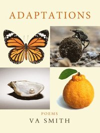 bokomslag Adaptations