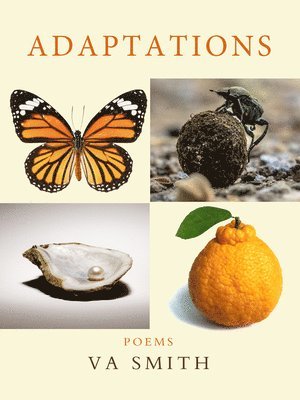 bokomslag Adaptations
