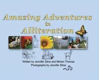 bokomslag Amazing Adventures in Alliteration