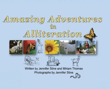 bokomslag Amazing Adventures in Alliteration