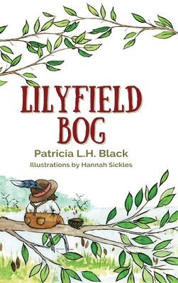 Lilyfield Bog 1