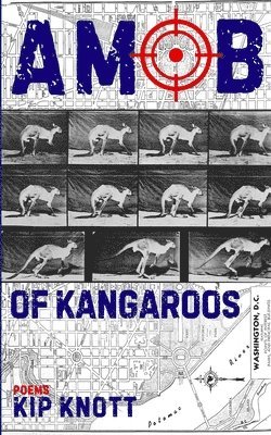 Mob of Kangaroos