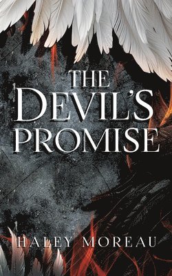 bokomslag Devil's Promise
