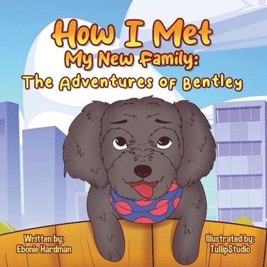 Hardman - How I Met My New Family, Häftad