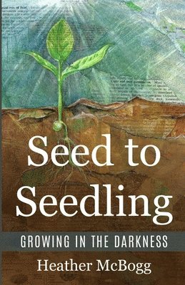 Seed to Seedling, Growing in the Darkness 1