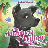 bokomslag Adventures of Willow