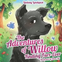 bokomslag The Adventures of Willow: Finding Furr-Ever