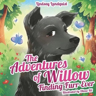 Lindsay Lundquist - Adventures of Willow, Häftad