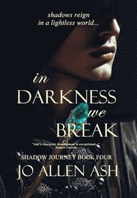 bokomslag In Darkness We Break - Shadow Journey Series Book Four