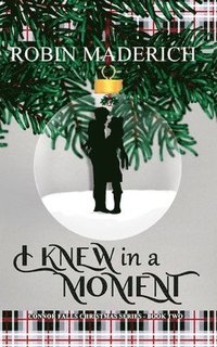 bokomslag I Knew in a Moment - Connor Falls Christmas Series Book Two