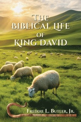 Biblical Life of King David