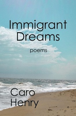 bokomslag Immigrant Dreams