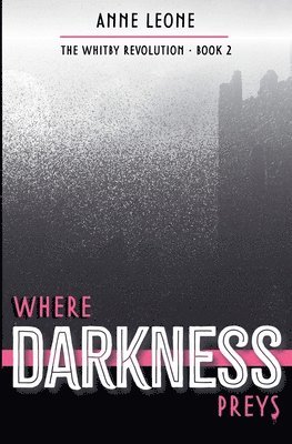 bokomslag Where Darkness Preys