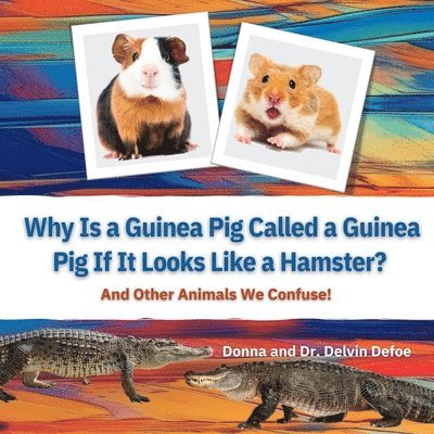 Why Is a Guinea Pig Called a Guinea Pig If It Looks Like a Hamster? 1