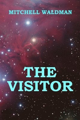 The Visitor