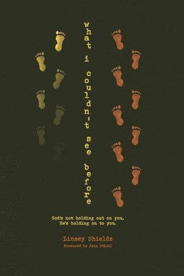 Linsey Shields - What I Couldn't See Before, Häftad