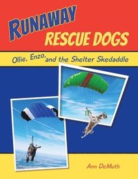 bokomslag Runaway Rescue Dogs: Ollie, Enzo, and the Shelter Skedaddle