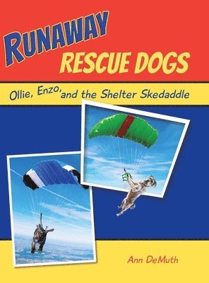 Runaway Rescue Dogs 1