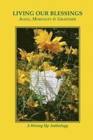 Heather Tosteson, Charles D Brockett - Living Our Blessings, Häftad